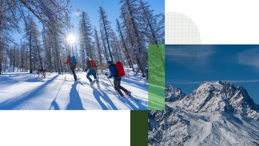 accompagnateurs montagne